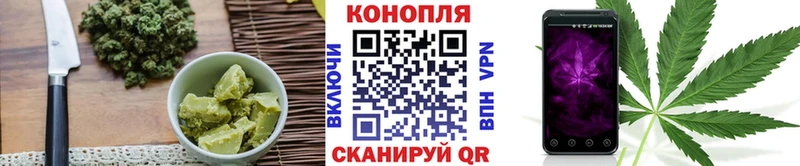 мега как зайти  Дмитриев  Cannafood марихуана  где купить  