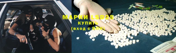 ГАЛЛЮЦИНОГЕННЫЕ ГРИБЫ Горнозаводск