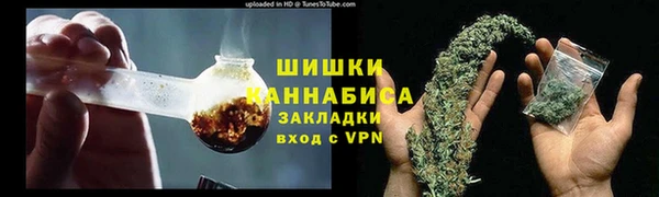 ГАЛЛЮЦИНОГЕННЫЕ ГРИБЫ Горнозаводск
