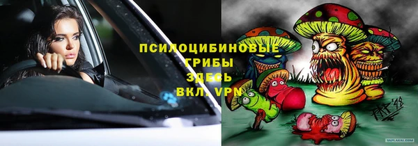 ГАЛЛЮЦИНОГЕННЫЕ ГРИБЫ Горнозаводск