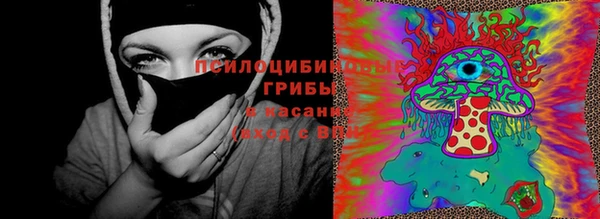 ГАЛЛЮЦИНОГЕННЫЕ ГРИБЫ Горнозаводск